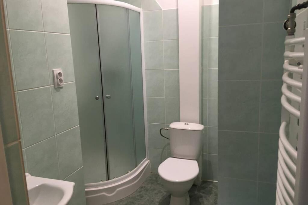 Medenec Villa Vykmanov מראה חיצוני תמונה